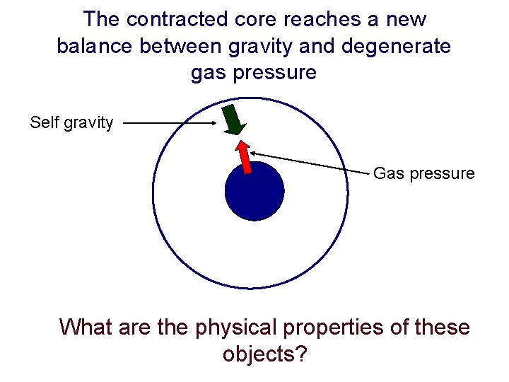 The contracted core reaches a new balance between gravity and degenerate gas pressure Self