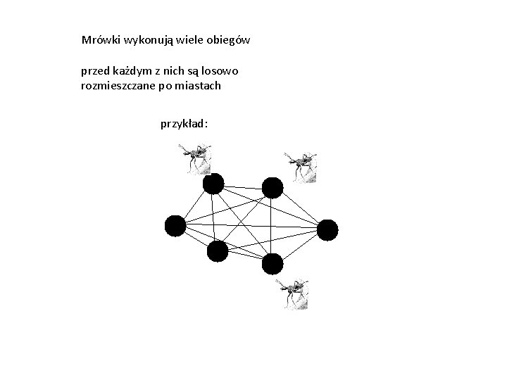 Mrówki wykonują wiele obiegów przed każdym z nich są losowo rozmieszczane po miastach przykład:
