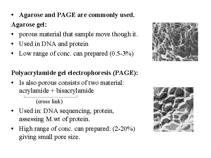 • Agarose and PAGE are commonly used. Agarose gel: • porous material that