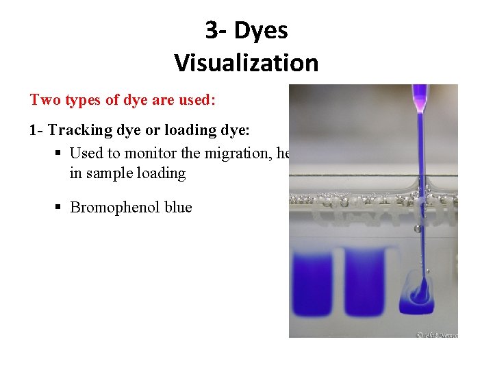3 - Dyes Visualization Two types of dye are used: 1 - Tracking dye