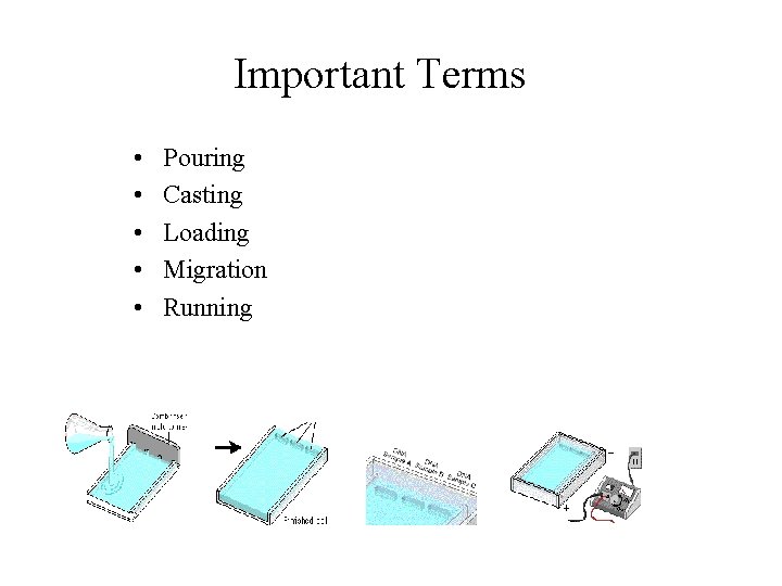 Important Terms • • • Pouring Casting Loading Migration Running 