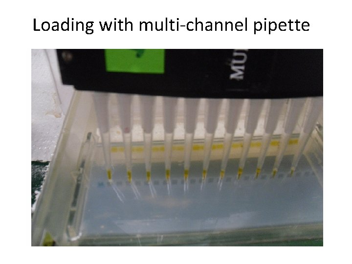 Loading with multi-channel pipette 