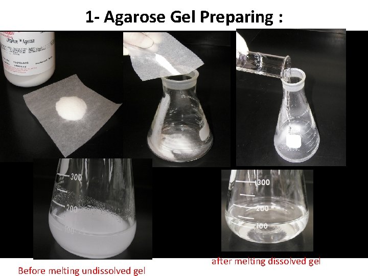 1 - Agarose Gel Preparing : Before melting undissolved gel after melting dissolved gel