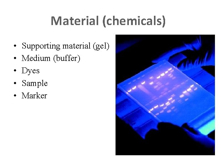 Material (chemicals) • • • Supporting material (gel) Medium (buffer) Dyes Sample Marker 