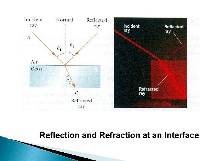 Reflection and Refraction at an Interface 