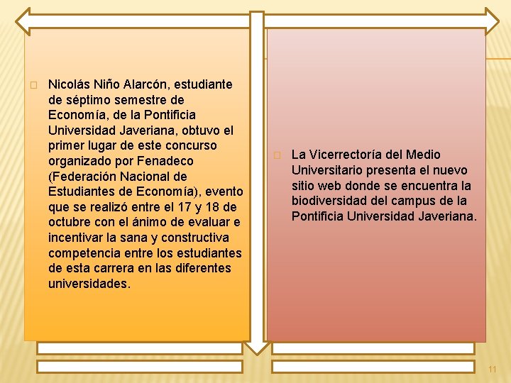 � Nicolás Niño Alarcón, estudiante de séptimo semestre de Economía, de la Pontificia Universidad