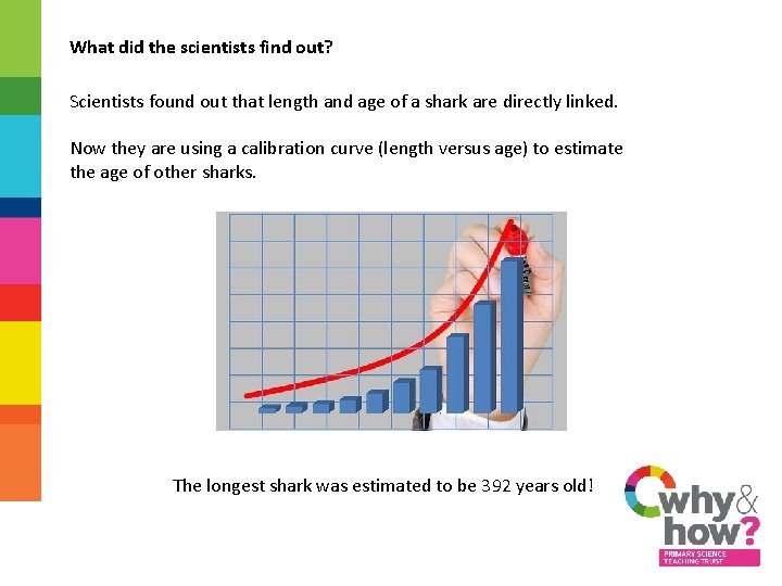 What did the scientists find out? Scientists found out that length and age of