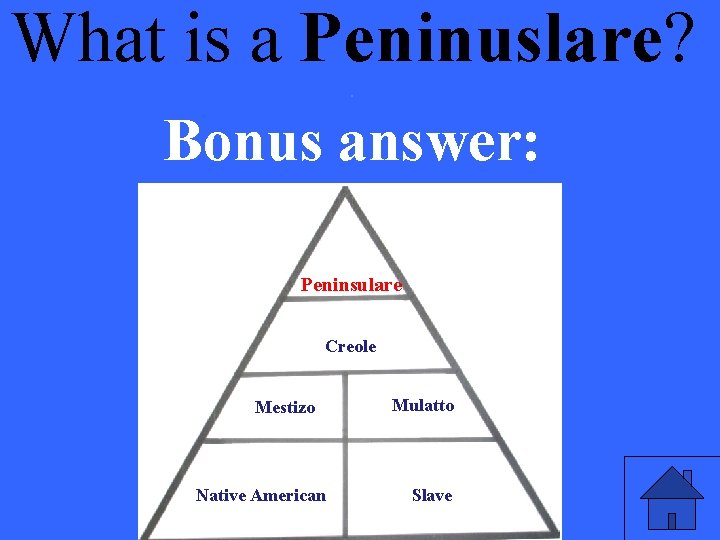 What is a Peninuslare? . Bonus answer: Peninsulare Creole Mestizo Native American Mulatto Slave