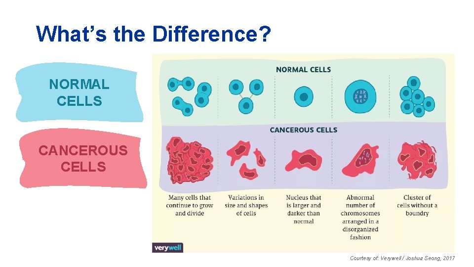 What’s the Difference? NORMAL CELLS CANCEROUS CELLS Courtesy of: Verywell / Joshua Seong, 2017