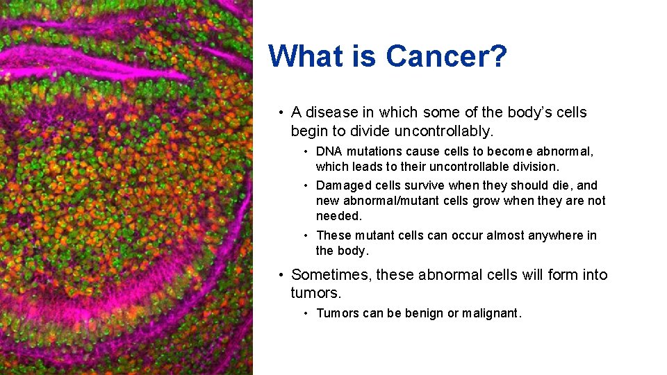 What is Cancer? • A disease in which some of the body’s cells begin