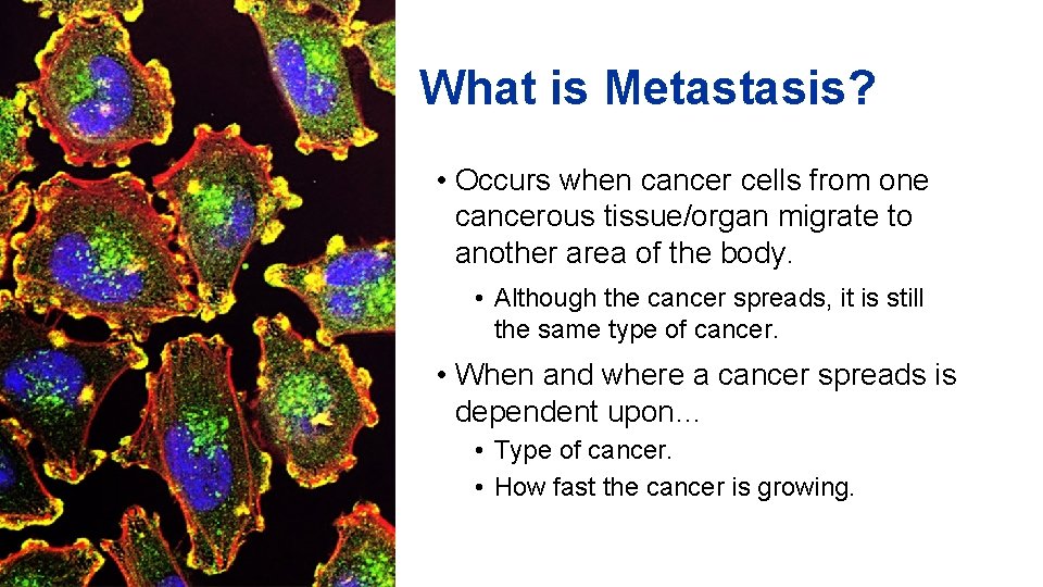 What is Metastasis? • Occurs when cancer cells from one cancerous tissue/organ migrate to