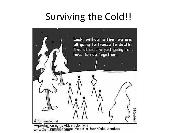 Surviving the Cold!! 