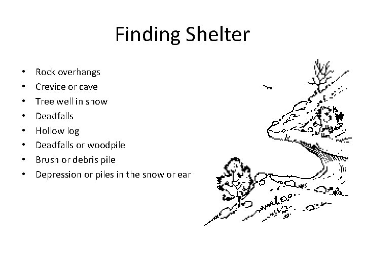 Finding Shelter • • Rock overhangs Crevice or cave Tree well in snow Deadfalls