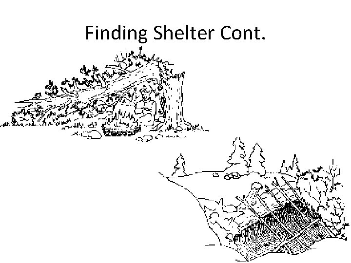 Finding Shelter Cont. 