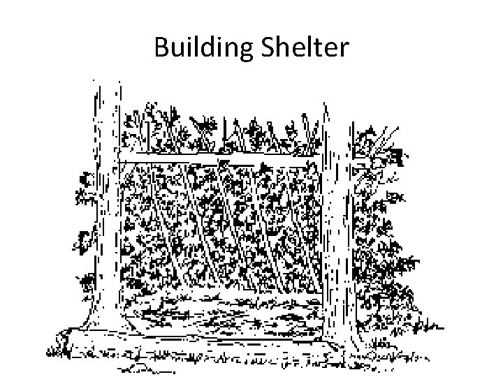 Building Shelter 