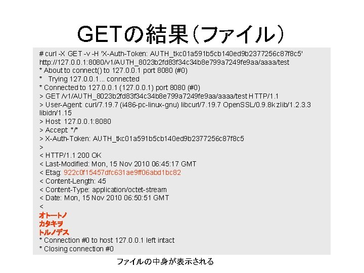 GETの結果（ファイル） # curl -X GET -v -H 'X-Auth-Token: AUTH_tkc 01 a 591 b 5