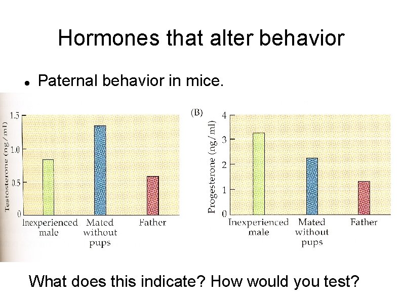 Hormones that alter behavior Paternal behavior in mice. What does this indicate? How would