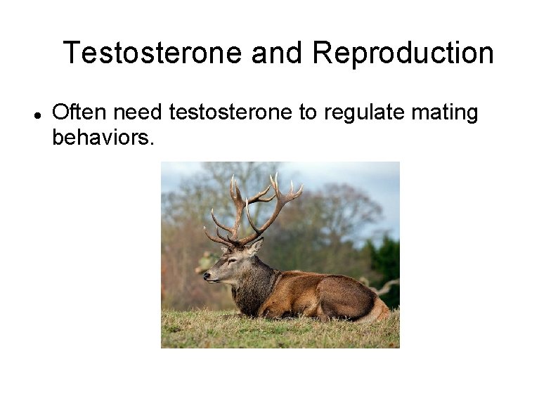 Testosterone and Reproduction Often need testosterone to regulate mating behaviors. 