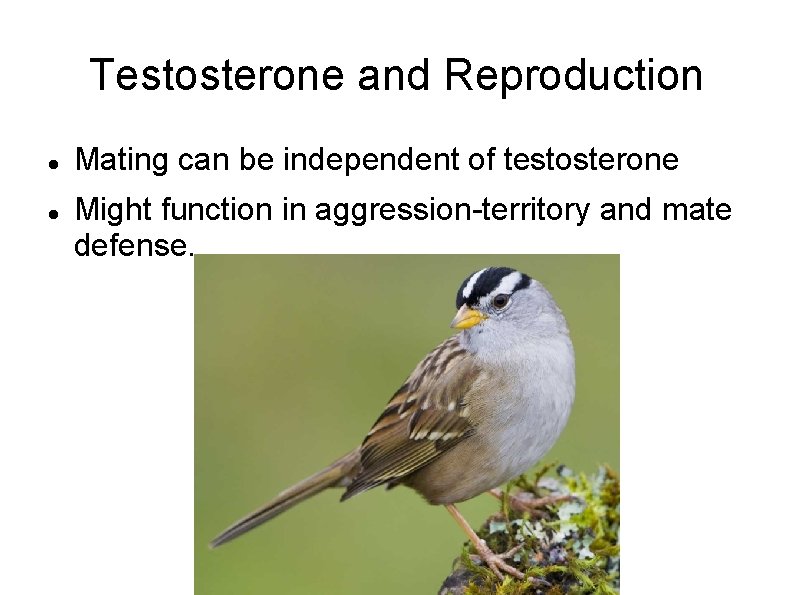 Testosterone and Reproduction Mating can be independent of testosterone Might function in aggression-territory and