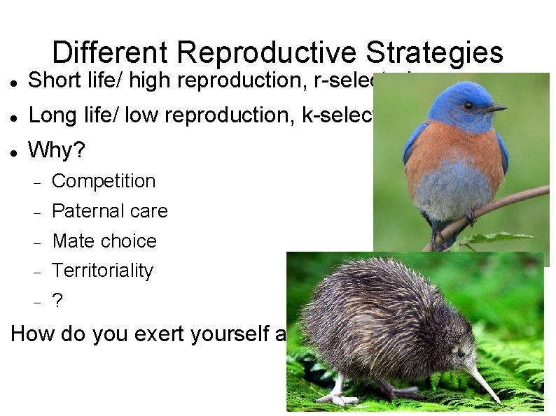 Different Reproductive Strategies Short life/ high reproduction, r-selected Long life/ low reproduction, k-selected Why?