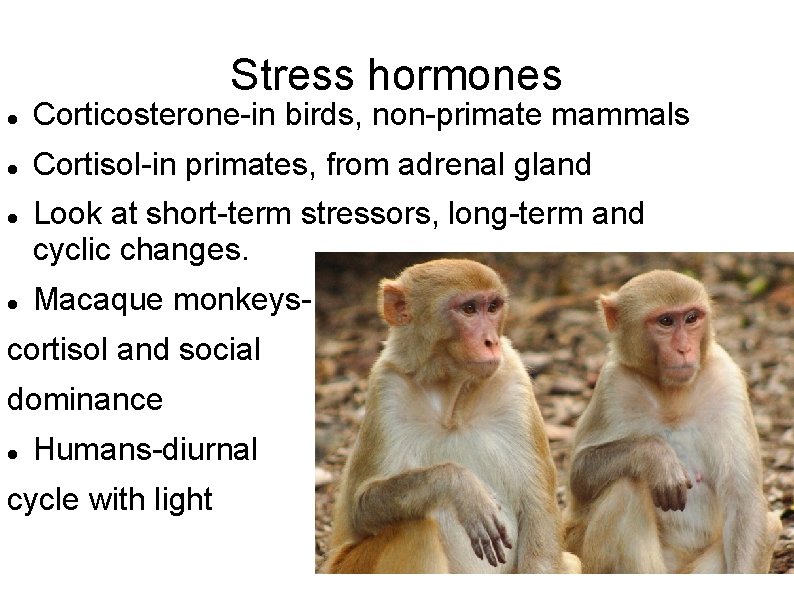 Stress hormones Corticosterone-in birds, non-primate mammals Cortisol-in primates, from adrenal gland Look at short-term