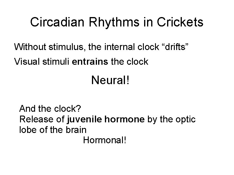 Circadian Rhythms in Crickets Without stimulus, the internal clock “drifts” Visual stimuli entrains the