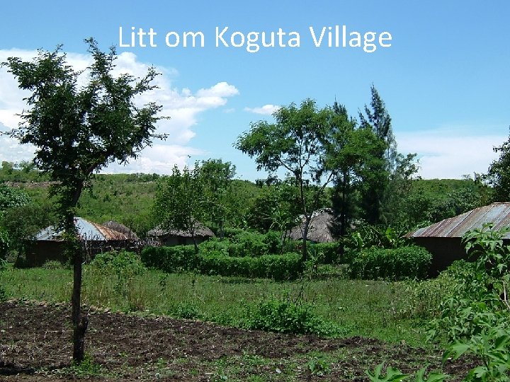 Litt om Koguta Village 