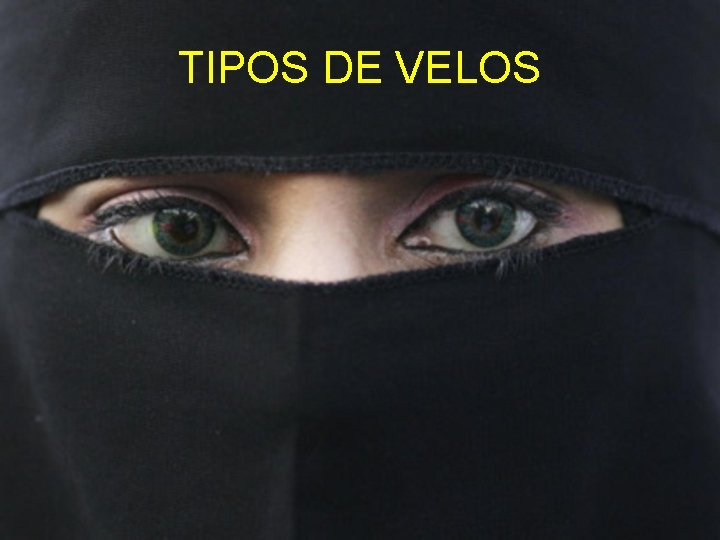 TIPOS DE VELOS 