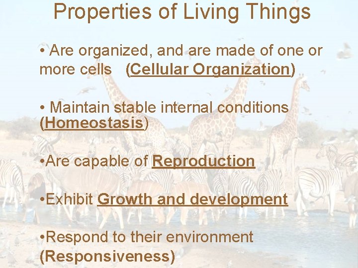Properties of Living Things • Are organized, and are made of one or more