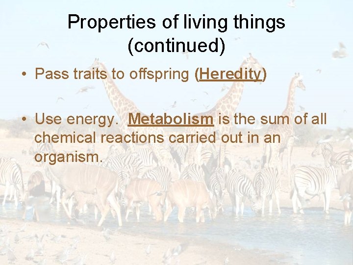 Properties of living things (continued) • Pass traits to offspring (Heredity) • Use energy.