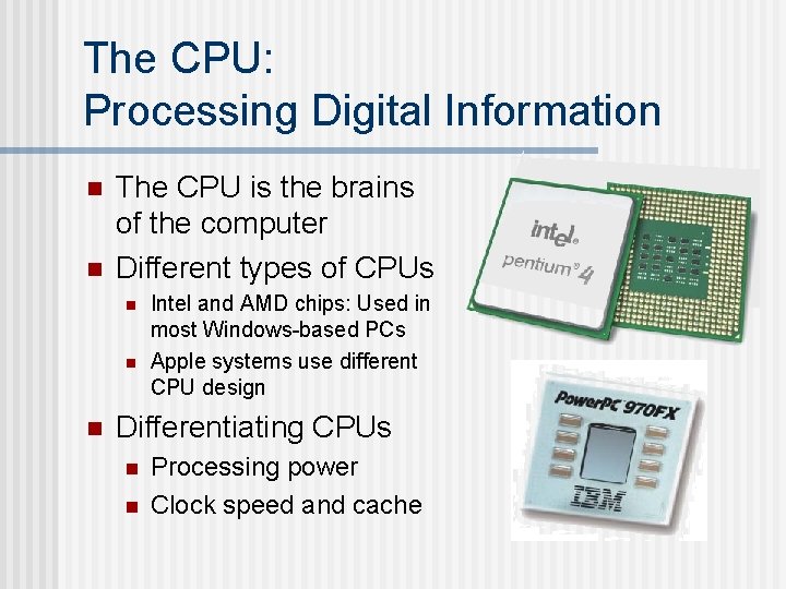 The CPU: Processing Digital Information n n The CPU is the brains of the