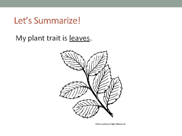 Let’s Summarize! My plant trait is leaves. Photo courtesy of clipart-library. com 