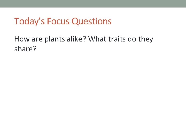 Today’s Focus Questions How are plants alike? What traits do they share? 