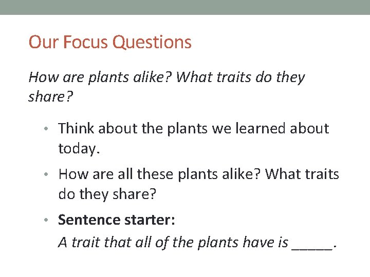 Our Focus Questions How are plants alike? What traits do they share? • Think
