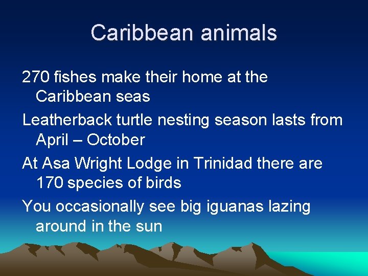 Caribbean animals 270 fishes make their home at the Caribbean seas Leatherback turtle nesting