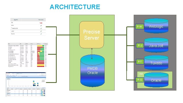 PRECISE ARCHITECTURE FOR ORACLE & DB 2 Performance Portal DBA Developers & Storage Admins