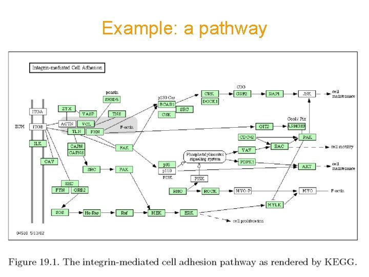 Example: a pathway 