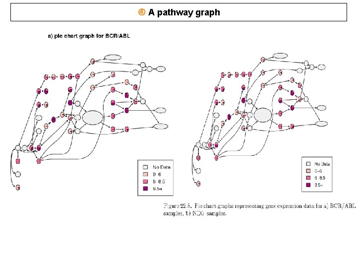  A pathway graph 