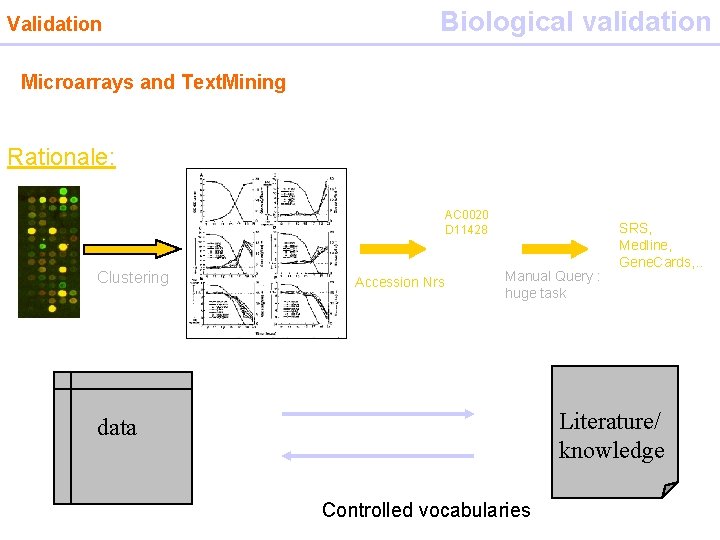 Validation Biological validation Microarrays and Text. Mining Rationale: AC 0020 D 11428 Clustering Accession