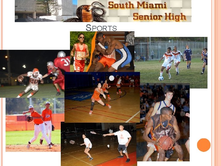 SPORTS 