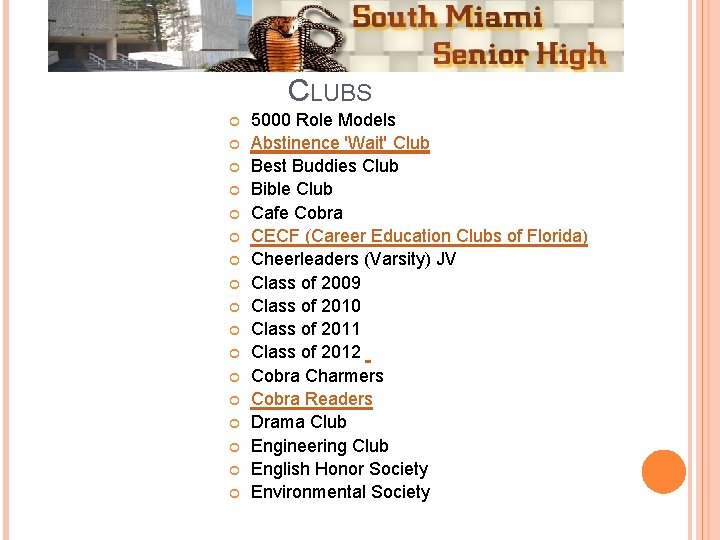 CLUBS 5000 Role Models Abstinence 'Wait' Club Best Buddies Club Bible Club Cafe Cobra
