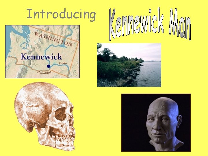 Introducing 