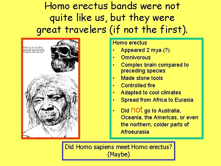 Homo erectus bands were not quite like us, but they were great travelers (if