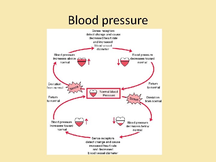 Blood pressure Blood pressure