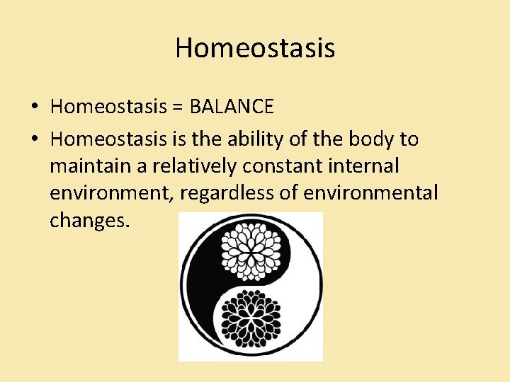 Homeostasis • Homeostasis = BALANCE • Homeostasis is the ability of the body to