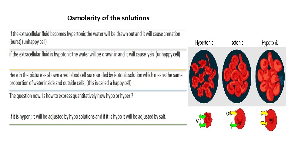 Osmolarity of the solutions 