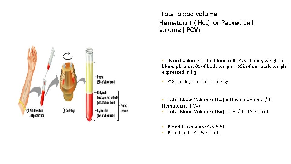 Total blood volume Hematocrit ( Hct) or Packed cell volume ( PCV) • Blood