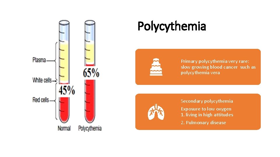 Polycythemia Primary polycythemia very rare: slow growing blood cancer such as polycythemia vera Secondary