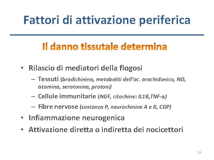 Fattori di attivazione periferica • Rilascio di mediatori della flogosi – Tessuti (bradichinina, metaboliti