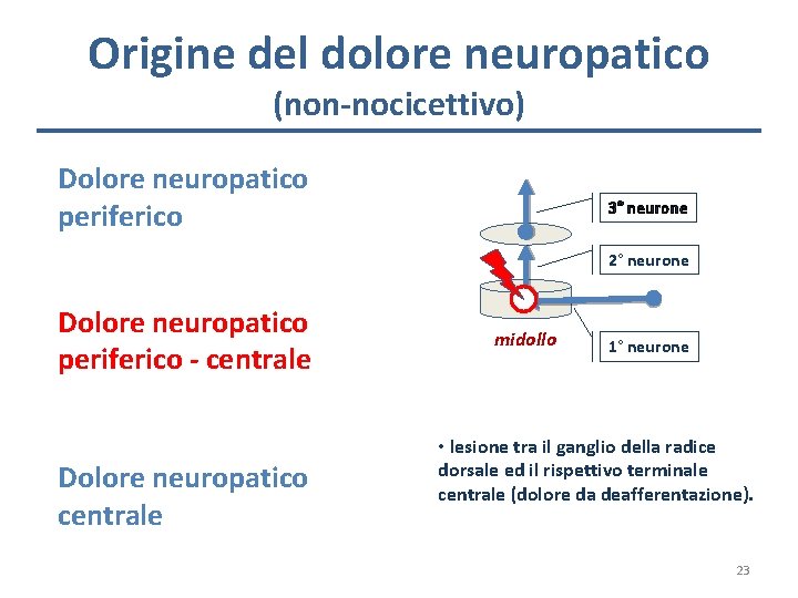 Origine del dolore neuropatico (non-nocicettivo) Dolore neuropatico periferico 3° neurone 2° neurone Dolore neuropatico